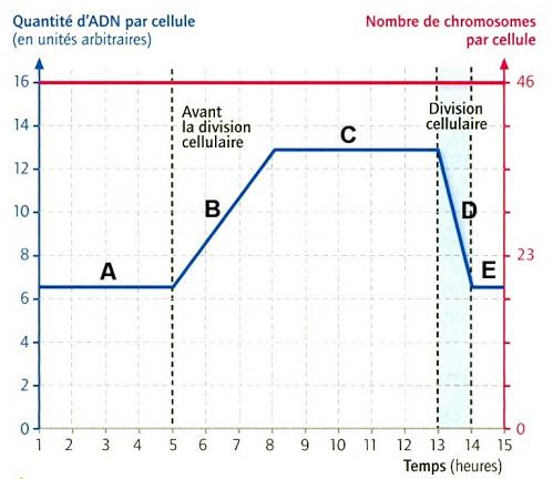 Quantit